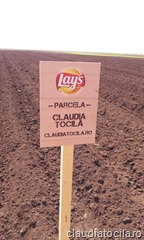 C360_2012-04-28-11-04-31