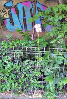 C360_2012-05-12-17-17-18