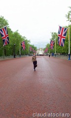 C360_2012-06-12-15-03-52