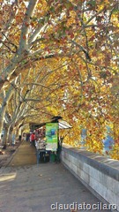 C360_2012-11-24-10-54-55