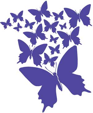 BFlyRelease_Purple300px_wide