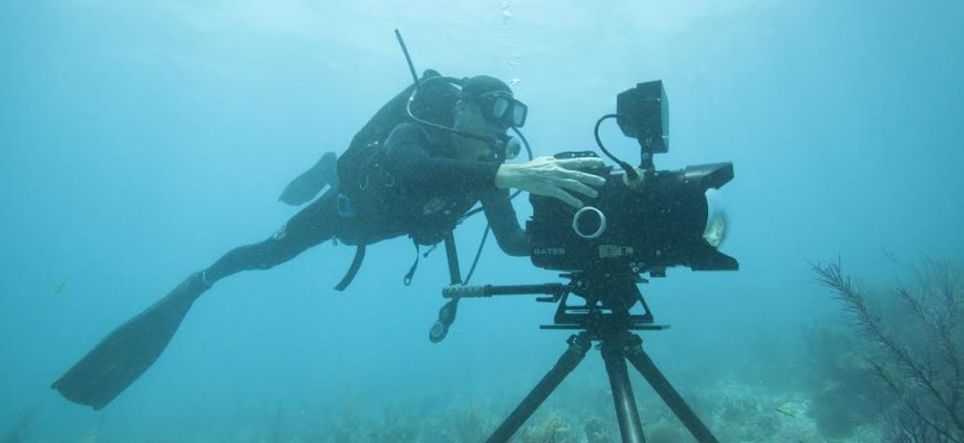 Cameraman Tom Fitz documents the assault on Floridas coral reef system  the 5th largest in the world.